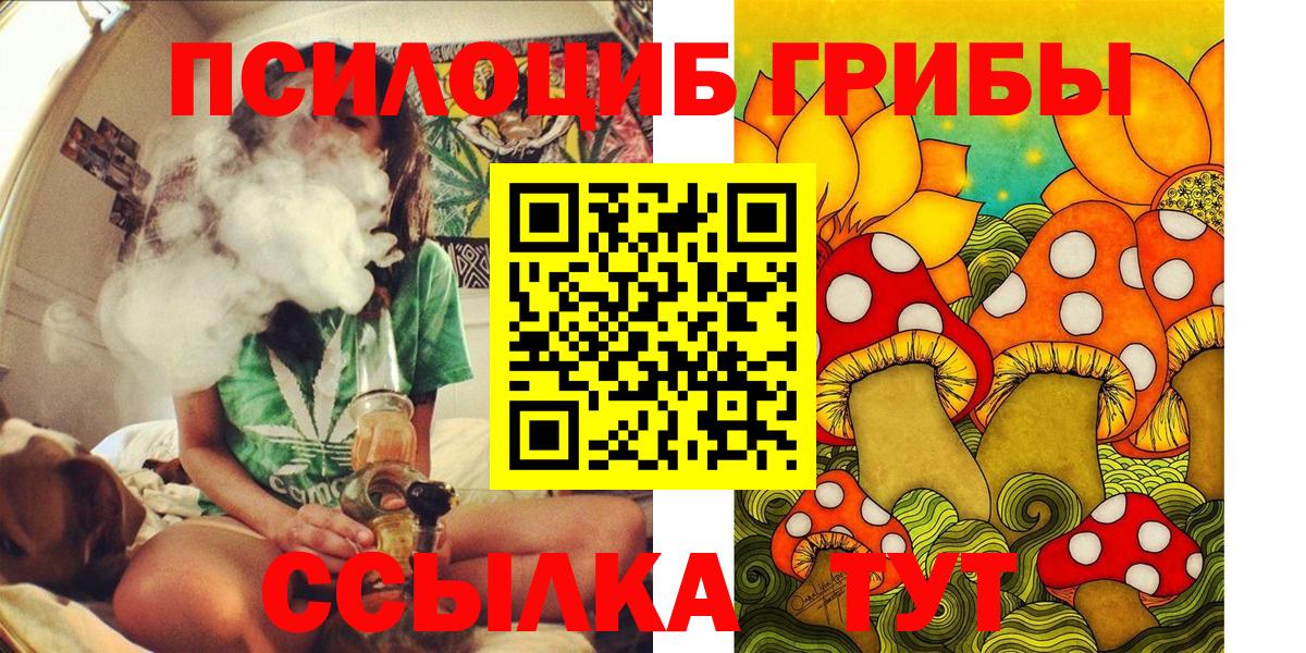 Галлюциногенные грибы прущие грибы Тайшет